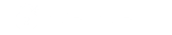 Bye Bye Lock